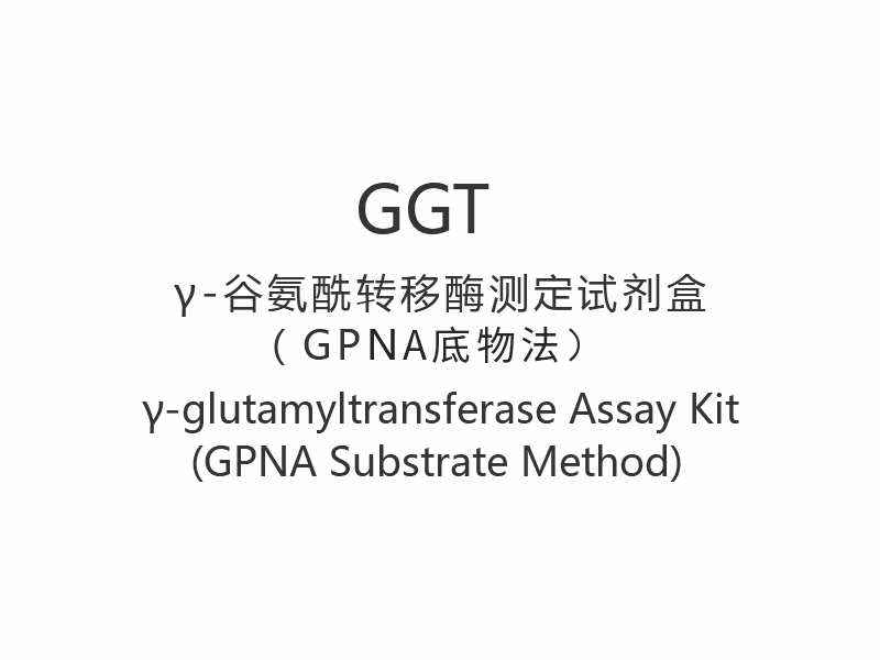 【GGT】γ-glutamyylitransferaasi Assay Kit (GPNA-substraattimenetelmä)