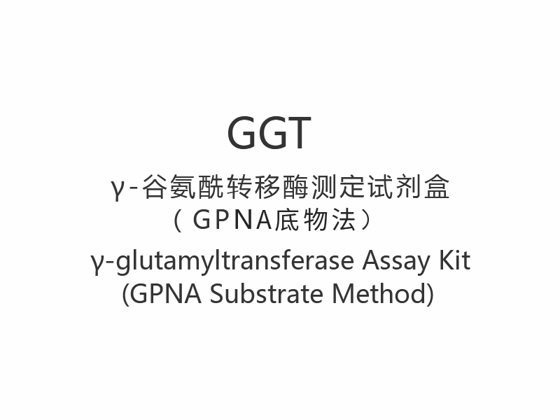 detail of 【GGT】γ-glutamyylitransferaasi Assay Kit (GPNA-substraattimenetelmä)