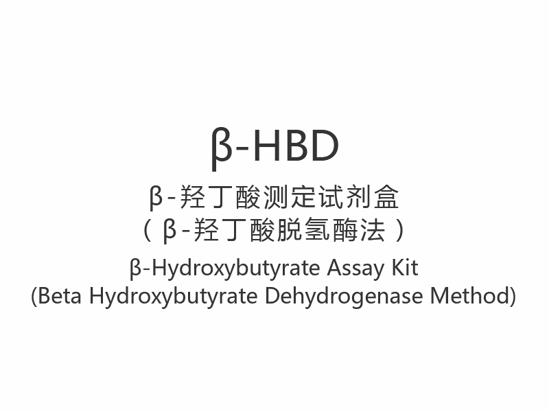 【β-HBD】β-Hydroxybutyrate Assay Kit (beta-hydroksibutyraattidehydrogenaasimenetelmä)