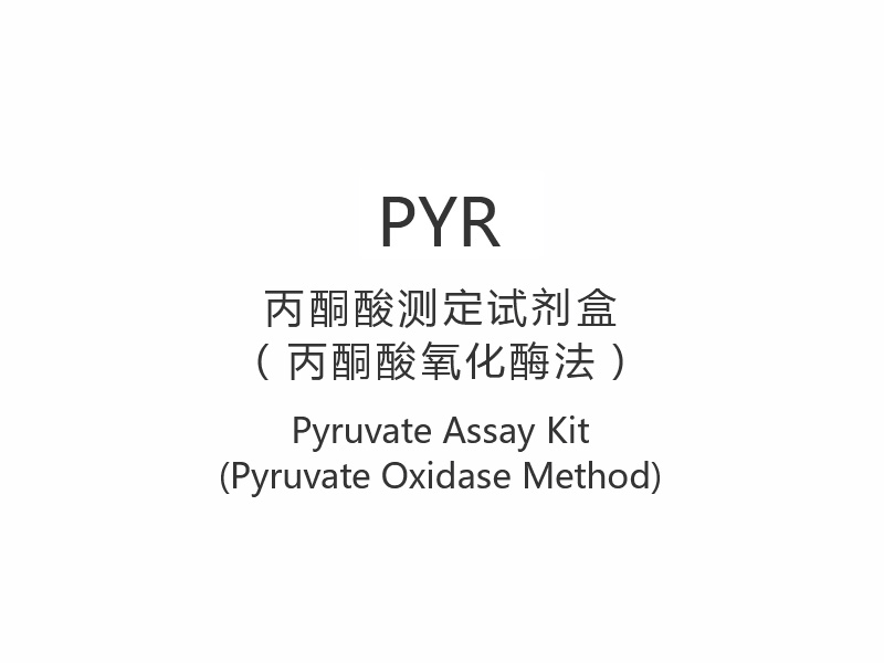 【PYR】Pyruvate Assay Kit (pyruvaattioksidaasimenetelmä)